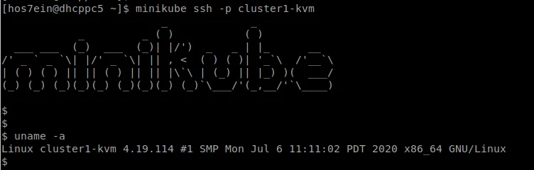 minikube-ssh-fedorafans.com